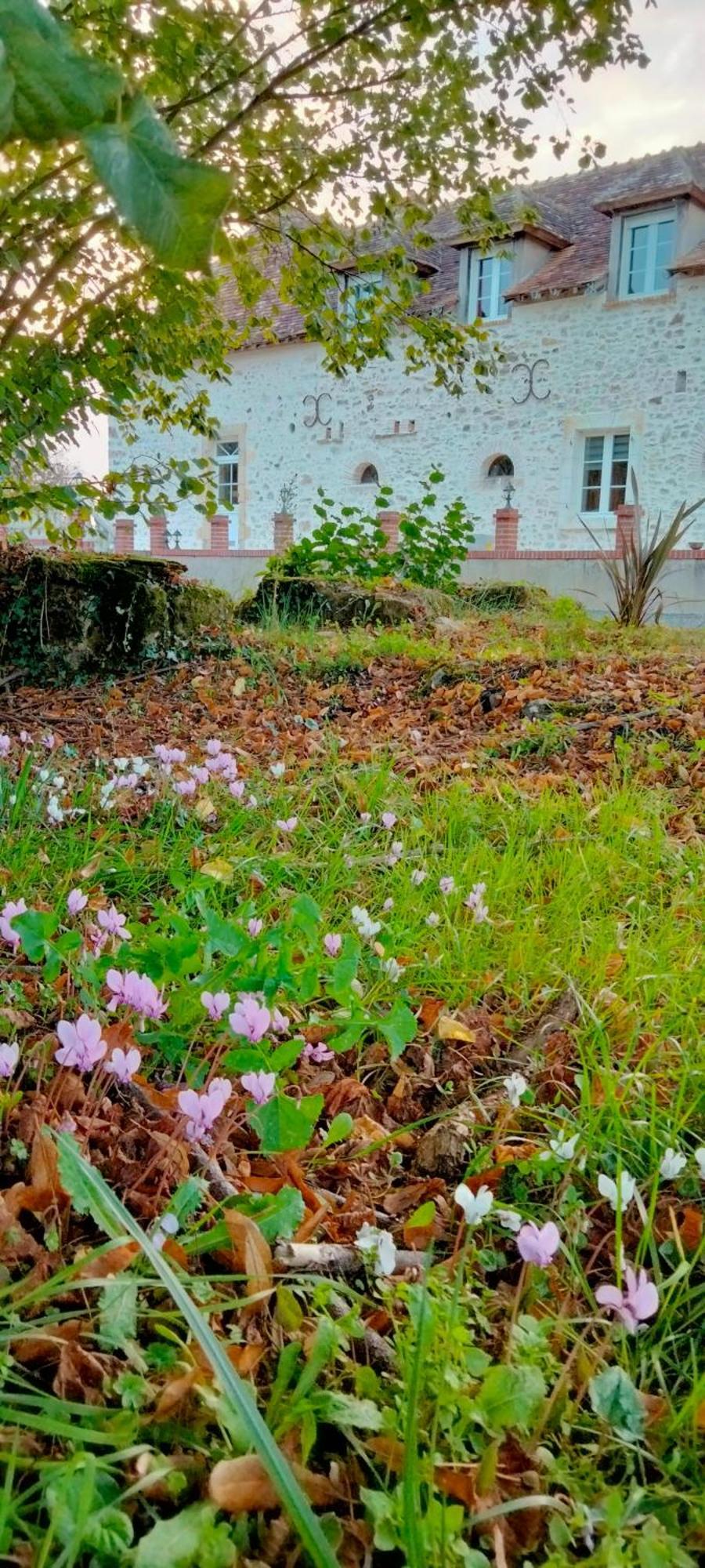 Вилла Gite & Chambre D'Hotes Du Moulin Brulon Экстерьер фото